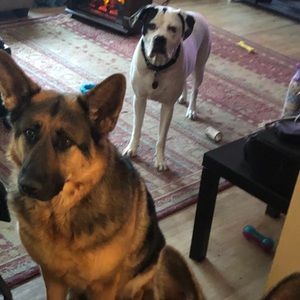 Meet your Posher, Laura